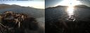 ./images/rivers-inlet/ethel/20210823/ethel20210823_193954.jpg