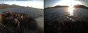 ./images/rivers-inlet/ethel/20210823/ethel20210823_195954.jpg