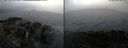 ./images/rivers-inlet/ethel/20210826/ethel20210826_185454.jpg