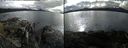./images/rivers-inlet/ethel/20210828/ethel20210828_171954.jpg