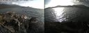 ./images/rivers-inlet/ethel/20210829/ethel20210829_174953.jpg