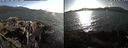 ./images/rivers-inlet/ethel/20210831/ethel20210831_175453.jpg