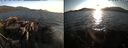 ./images/rivers-inlet/ethel/20210831/ethel20210831_192453.jpg