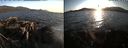./images/rivers-inlet/ethel/20210831/ethel20210831_192953.jpg