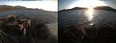 ./images/rivers-inlet/ethel/20210831/ethel20210831_193953.jpg