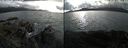 ./images/rivers-inlet/ethel/20210912/ethel20210912_174453.jpg