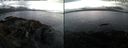 ./images/rivers-inlet/ethel/20210922/ethel20210922_070952.jpg