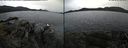 ./images/rivers-inlet/ethel/20211004/ethel20211004_123952.jpg