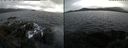 ./images/rivers-inlet/ethel/20211009/ethel20211009_154952.jpg