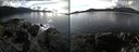 ./images/rivers-inlet/ethel/20211011/ethel20211011_142951.jpg