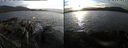 ./images/rivers-inlet/ethel/20211011/ethel20211011_174951.jpg