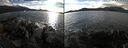 ./images/rivers-inlet/ethel/20211020/ethel20211020_151451.jpg