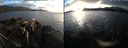./images/rivers-inlet/ethel/20211023/ethel20211023_175451.jpg