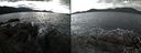 ./images/rivers-inlet/ethel/20211024/ethel20211024_131951.jpg