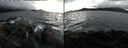 ./images/rivers-inlet/ethel/20211026/ethel20211026_153951.jpg