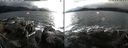 ./images/rivers-inlet/ethel/20211026/ethel20211026_155951.jpg