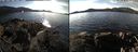 ./images/rivers-inlet/ethel/20211030/ethel20211030_141951.jpg