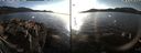 ./images/rivers-inlet/ethel/20211030/ethel20211030_163951.jpg