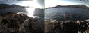 ./images/rivers-inlet/ethel/20211031/ethel20211031_142948.jpg