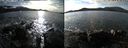 ./images/rivers-inlet/ethel/20211106/ethel20211106_141451.jpg