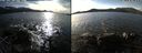 ./images/rivers-inlet/ethel/20211106/ethel20211106_142951.jpg