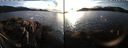 ./images/rivers-inlet/ethel/20211106/ethel20211106_171950.jpg