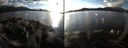 ./images/rivers-inlet/ethel/20211115/ethel20211115_144947.jpg