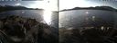 ./images/rivers-inlet/ethel/20211116/ethel20211116_142450.jpg