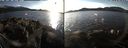 ./images/rivers-inlet/ethel/20211116/ethel20211116_143950.jpg