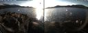 ./images/rivers-inlet/ethel/20211116/ethel20211116_145950.jpg
