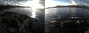 ./images/rivers-inlet/ethel/20220210/ethel20220210_142450.jpg