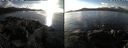 ./images/rivers-inlet/ethel/20220210/ethel20220210_142950.jpg