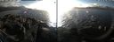 ./images/rivers-inlet/ethel/20220210/ethel20220210_153950.jpg