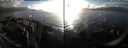 ./images/rivers-inlet/ethel/20220210/ethel20220210_161950.jpg
