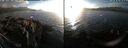 ./images/rivers-inlet/ethel/20220210/ethel20220210_163950.jpg