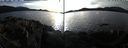./images/rivers-inlet/ethel/20220212/ethel20220212_152450.jpg