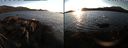 ./images/rivers-inlet/ethel/20220214/ethel20220214_172449.jpg