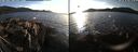 ./images/rivers-inlet/ethel/20220216/ethel20220216_164450.jpg