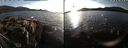 ./images/rivers-inlet/ethel/20220216/ethel20220216_164949.jpg