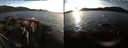 ./images/rivers-inlet/ethel/20220216/ethel20220216_170949.jpg