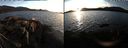 ./images/rivers-inlet/ethel/20220216/ethel20220216_171949.jpg