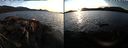 ./images/rivers-inlet/ethel/20220216/ethel20220216_172450.jpg