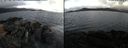 ./images/rivers-inlet/ethel/20220219/ethel20220219_114949.jpg