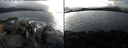 ./images/rivers-inlet/ethel/20220219/ethel20220219_152449.jpg