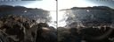 ./images/rivers-inlet/ethel/20220221/ethel20220221_153948.jpg