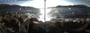 ./images/rivers-inlet/ethel/20220221/ethel20220221_154448.jpg