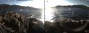 ./images/rivers-inlet/ethel/20220221/ethel20220221_160949.jpg