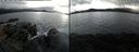 ./images/rivers-inlet/ethel/20220303/ethel20220303_140949.jpg