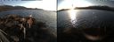 ./images/rivers-inlet/ethel/20220304/ethel20220304_172449.jpg