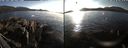 ./images/rivers-inlet/ethel/20220305/ethel20220305_164949.jpg